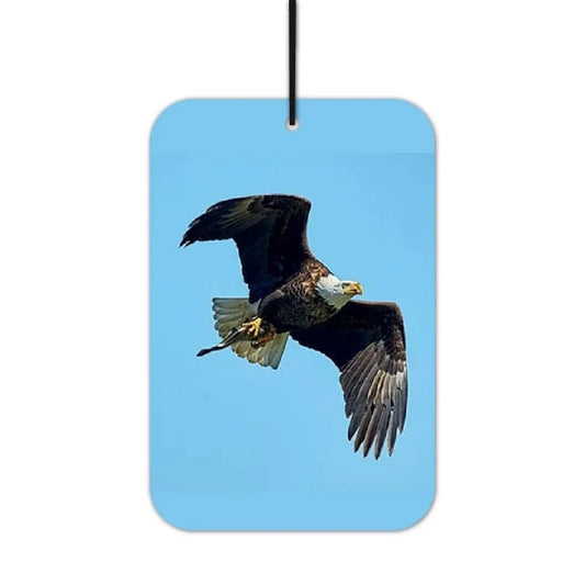 Adler Duftbaum