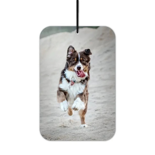 Australian Shepherd Duftbaum