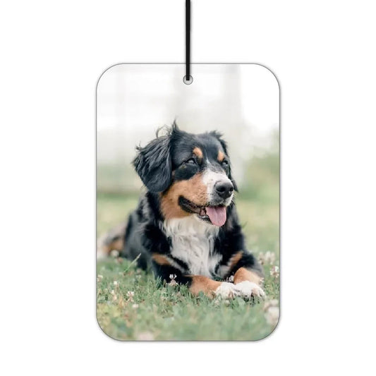 Berner Sennenhund Duftbaum
