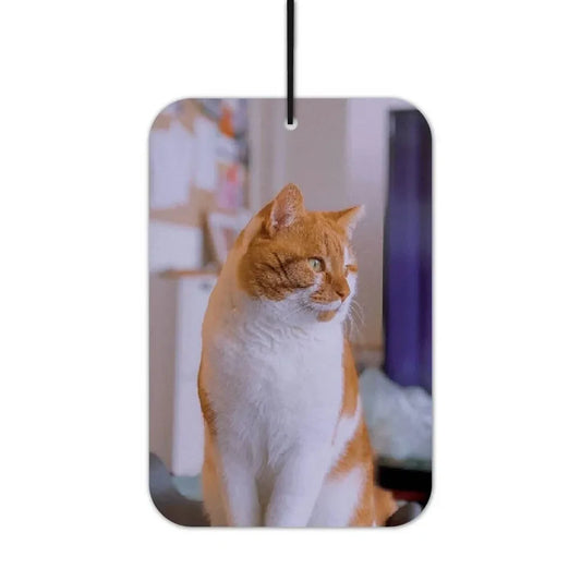 Gelb-Weisse Katze Duftbaum