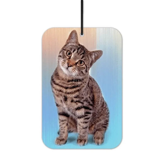 Kätzchen / Hauskatze Duftbaum