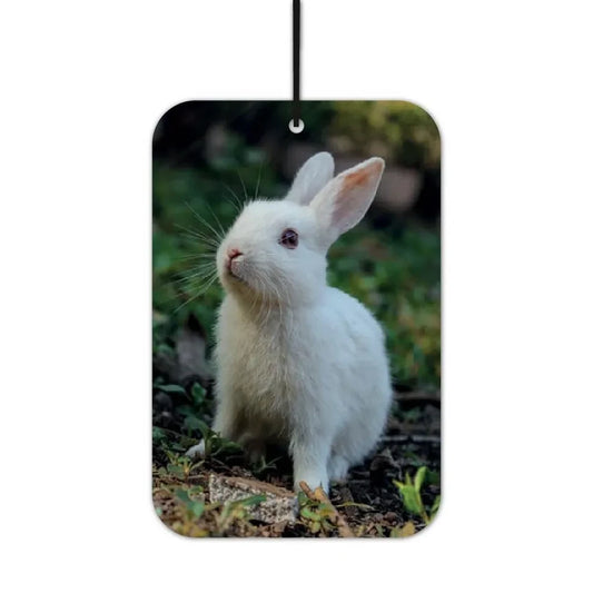 Kaninchen Duftbaum