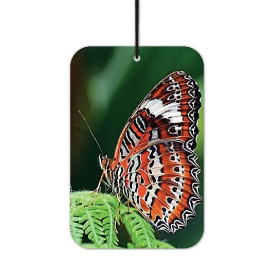 Schmetterling Duftbaum